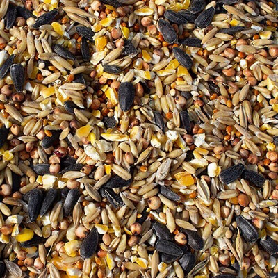 Extra Select No Wheat Bird Seed