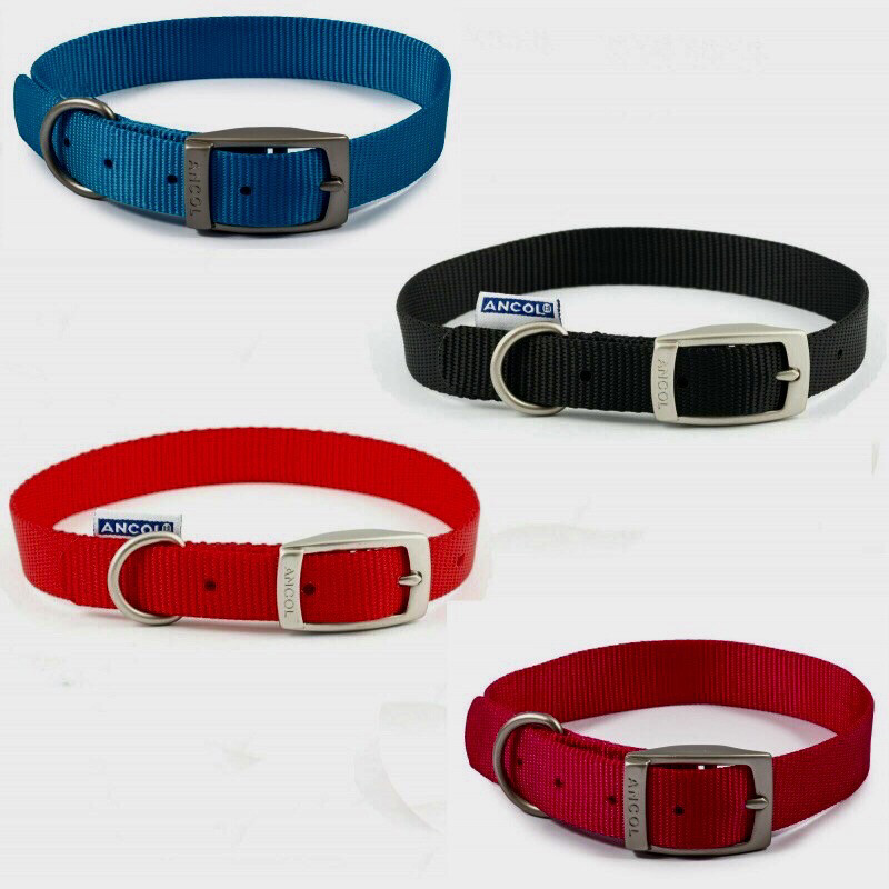 ANCOL VIVA BUCKLE DOG COLLAR 26-31cm. RASPBERRY, BLACK, BLUE