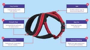 The Company Of Animals Comfy Reflectable Harness Size Small Chest Size 58-70cm