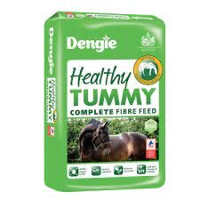 DENGIE HEALTHY TUMMY 20KG