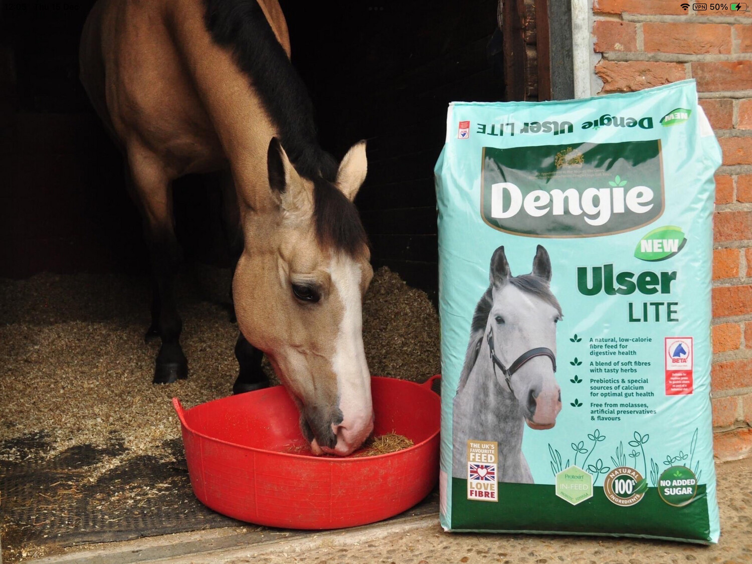 DENGIE ULSER LITE