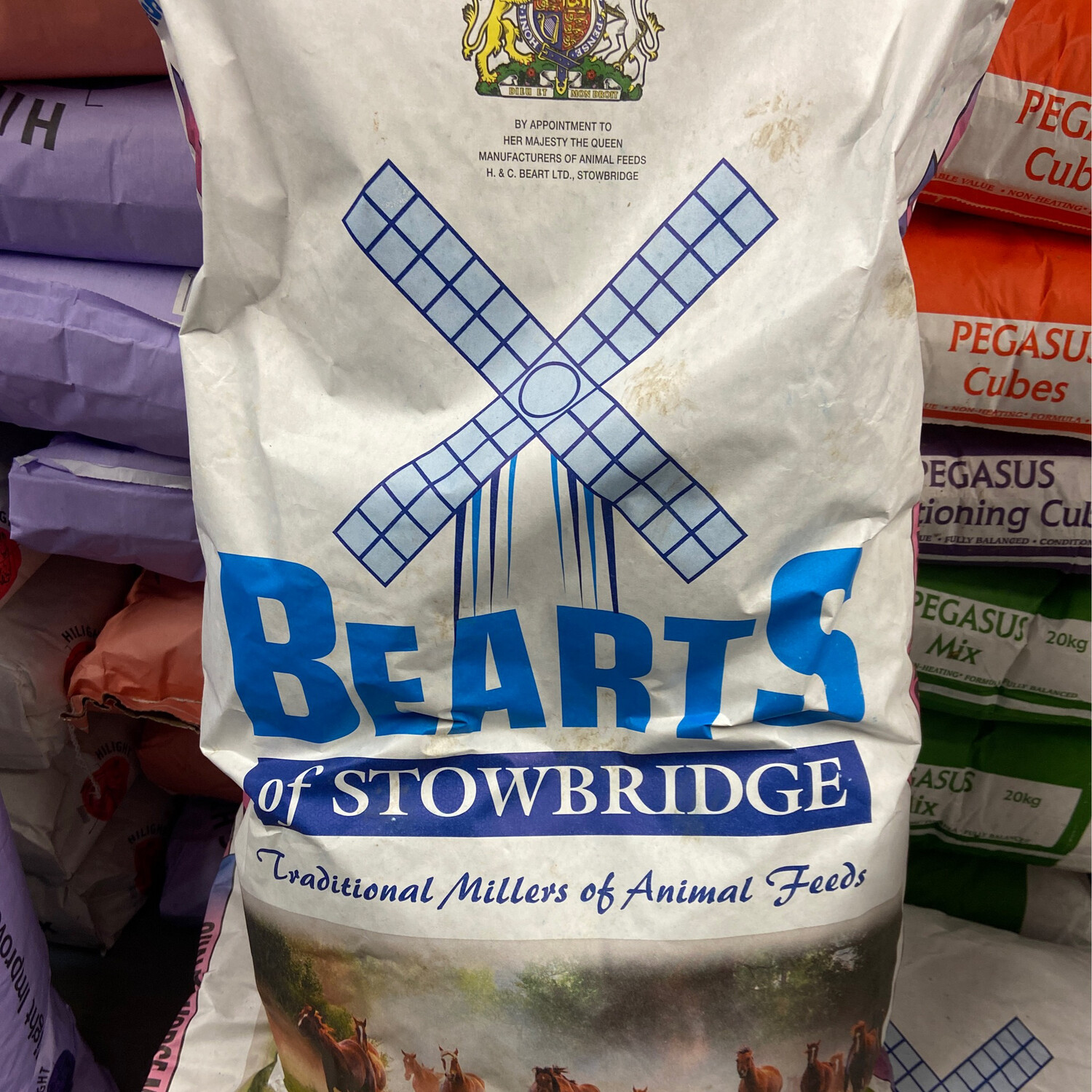 BEARTS COOL LEISURE MIX