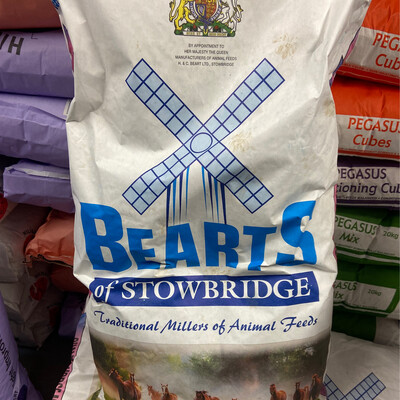 BEARTS COOL LEISURE MIX