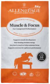 A&amp;P Muscle&amp; focus