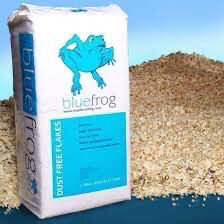 BLUE FROG SHAVINGS
