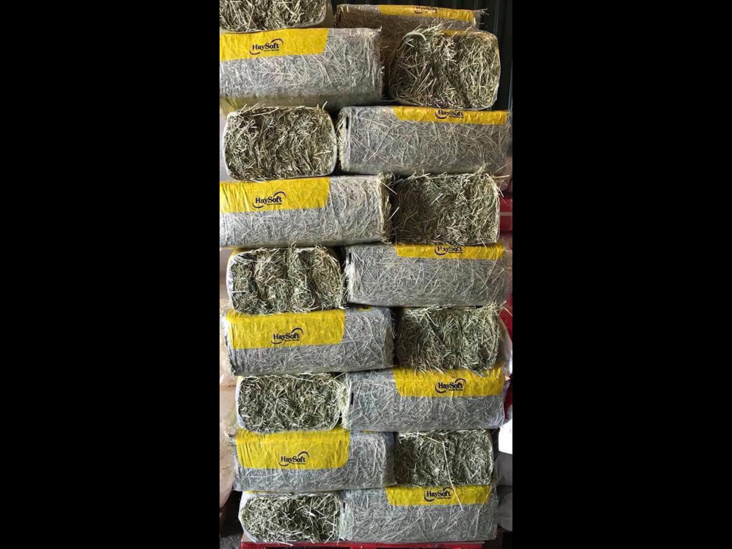 HAYSOFT COMPRESSED HAY