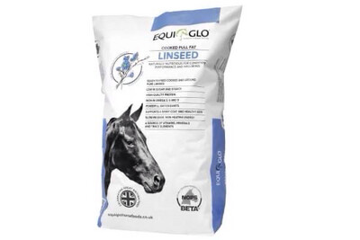 EQUI-GLO COOKED FULL FAT LINSEED