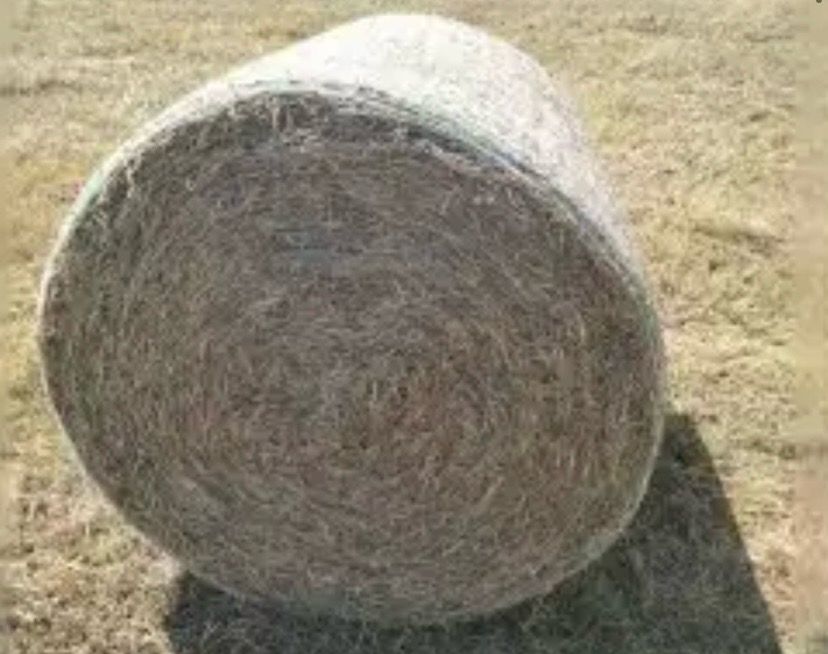 Round Bales