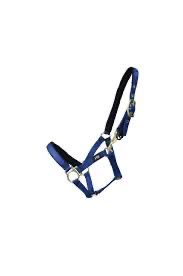 Hy Foal Head Collar Navy