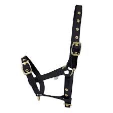 Hy Foal Head Collar Black
