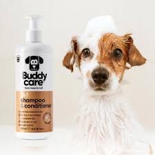 BUDDYCAREDOG 2in1 SHAMPOO&amp;CONDITIONER COCONUT 1LITRE