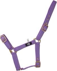 HEAD COLLAR - HY HOLLY FULLY ADJUSTABLE -  PONY