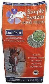 SIMPLE SYSTEMS LUCIE BRIX