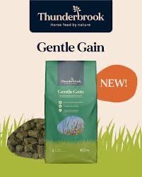THUNDERBROOK GENTLE GAIN