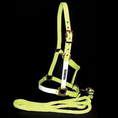 Harry Hall HYVIZ HEADCOLLAR &amp; ROPE COB OFFER