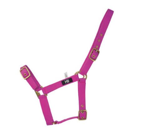 HY HOLLY FULLY ADJUSTABLE HEADCOLLAR IN FUSHCIA SIZE PONY