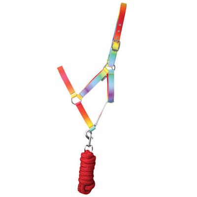 HY EQUESTRIAN OMBRÉ HEADCOLLAR &amp; LEADROPE SIZE FULL