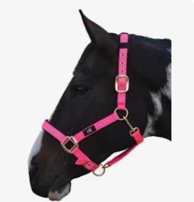 Hy Padded Head Collar - Hot Pink - Extra Small
