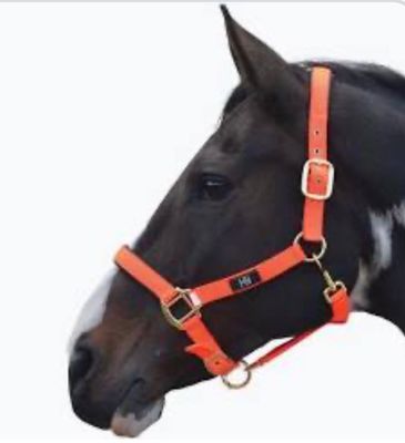 Hy Padded Headcollar- Orange - COB