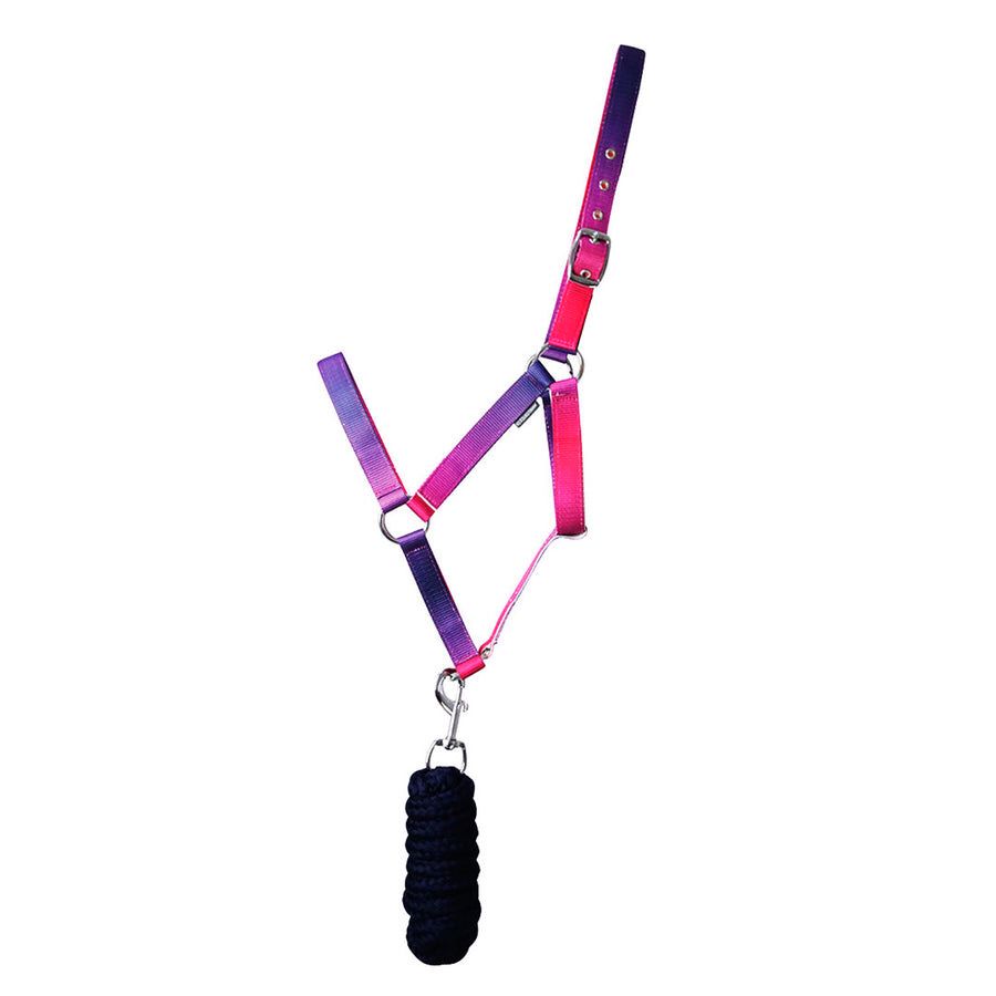 HY Ombré Headcollar &amp; Leadrope Pink &amp; Purple