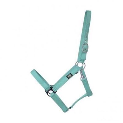 Hy Economy Headcollar Cob Teal