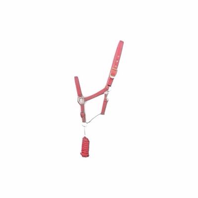 Hy Rose Gold Headcollar &amp; Leadrope Cob Blush Pink