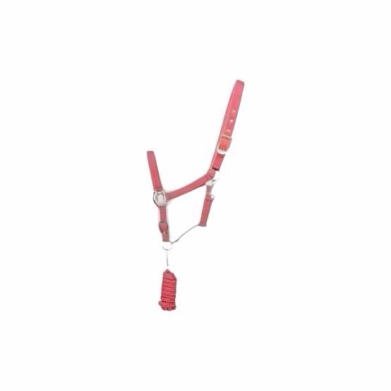 Hy Rose Gold Headcollar &amp; Leadrope Full Blush Pink