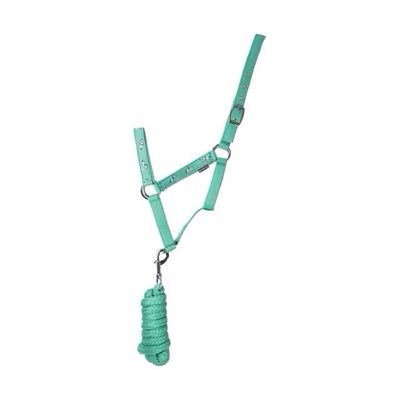 Hy Competition Ready Headcollar &amp; Leadrope Green Full