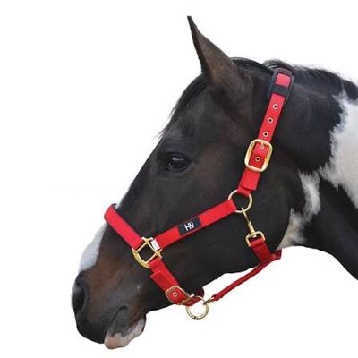 Hy Deluxe Padded Headcollar Red Pony