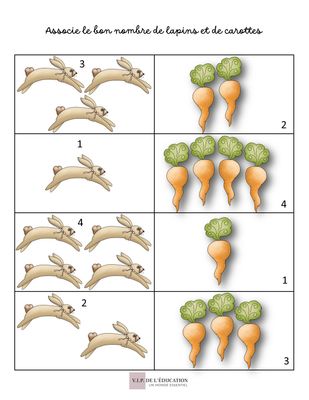 Lapins et carottes