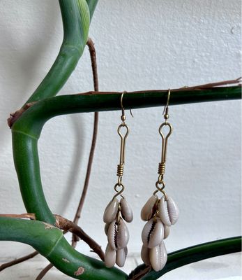 Cowrie Shells with Brass Stem