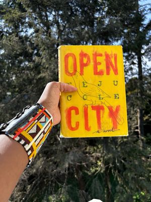 Open City by Teju Cole – Pre-owned copy of Open City by Teju Cole, a reflective novel about a Nigerian immigrant in New York City, exploring memory, identity, and history.