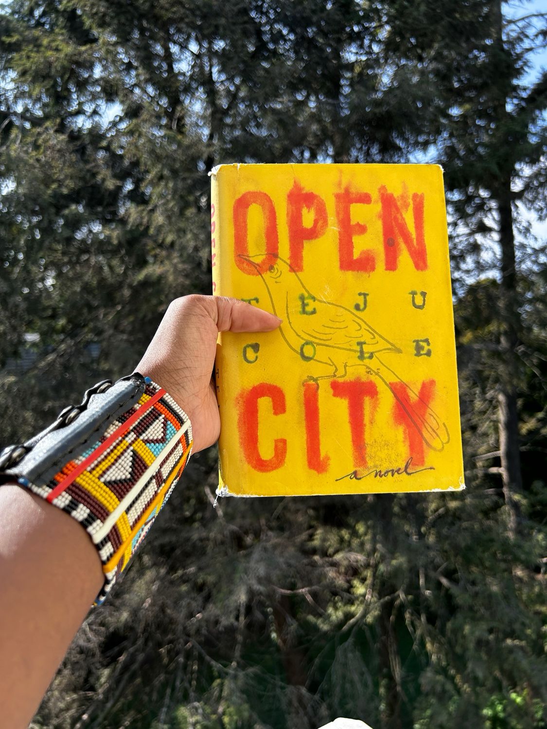 Open City by Teju Cole – Pre-owned copy of Open City by Teju Cole, a reflective novel about a Nigerian immigrant in New York City, exploring memory, identity, and history.