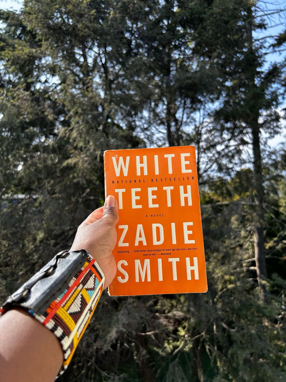 White Teeth by Zadie Smith – Pre-owned copy of White Teeth by Zadie Smith, a novel exploring identity, immigration, and family in multicultural London.