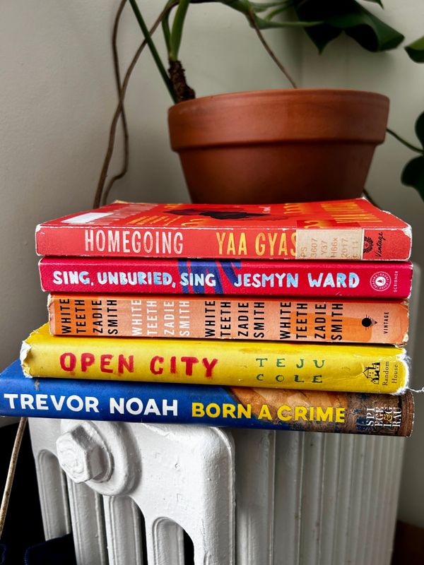 pre-loved books (pan-African authors)