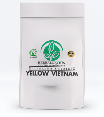YELLOW VIETNAM
Mitragyna speciosa YELLOW VIETNAM
Mitragyna speciosa
