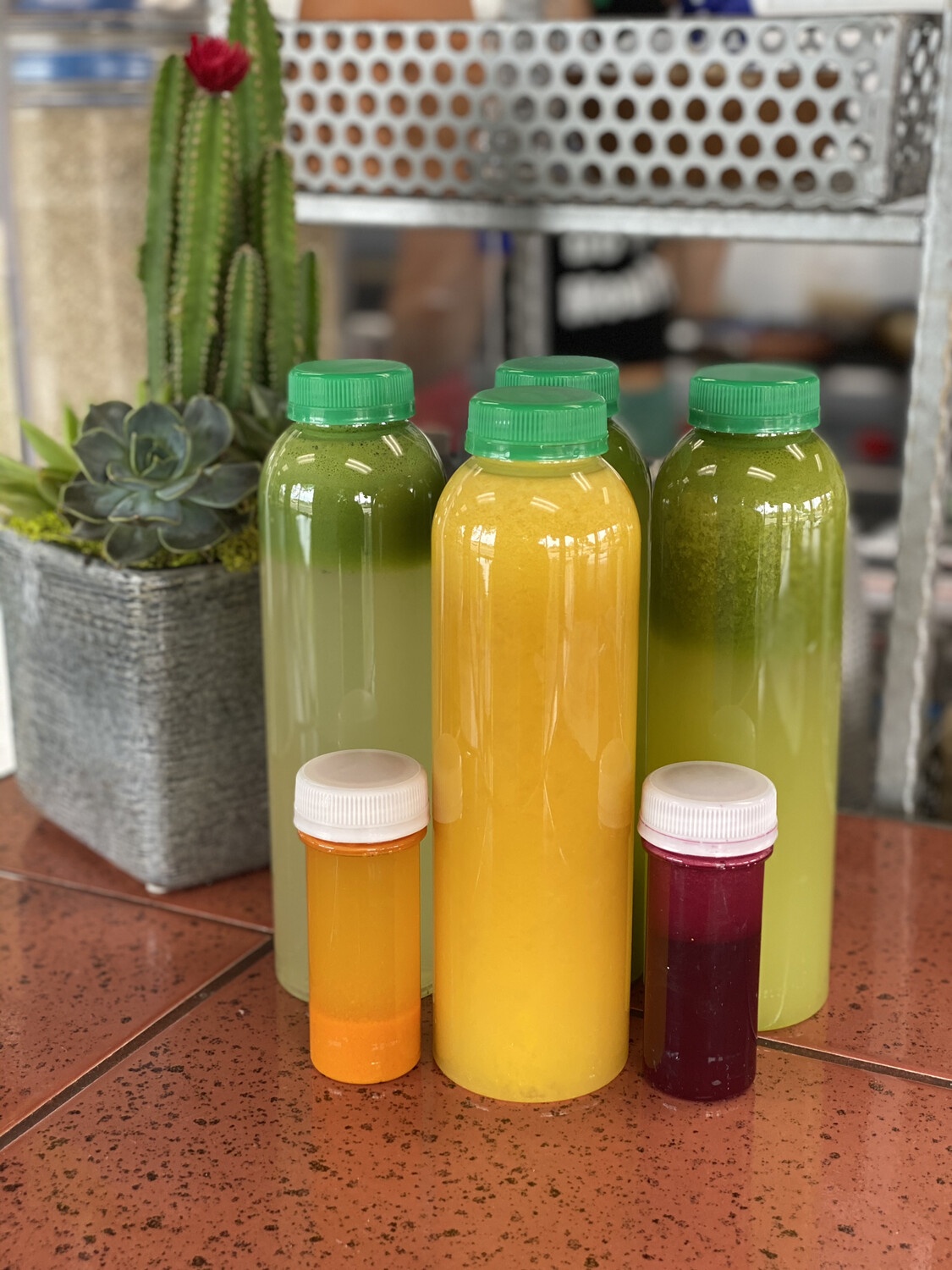 1 Day Juice Cleanse
