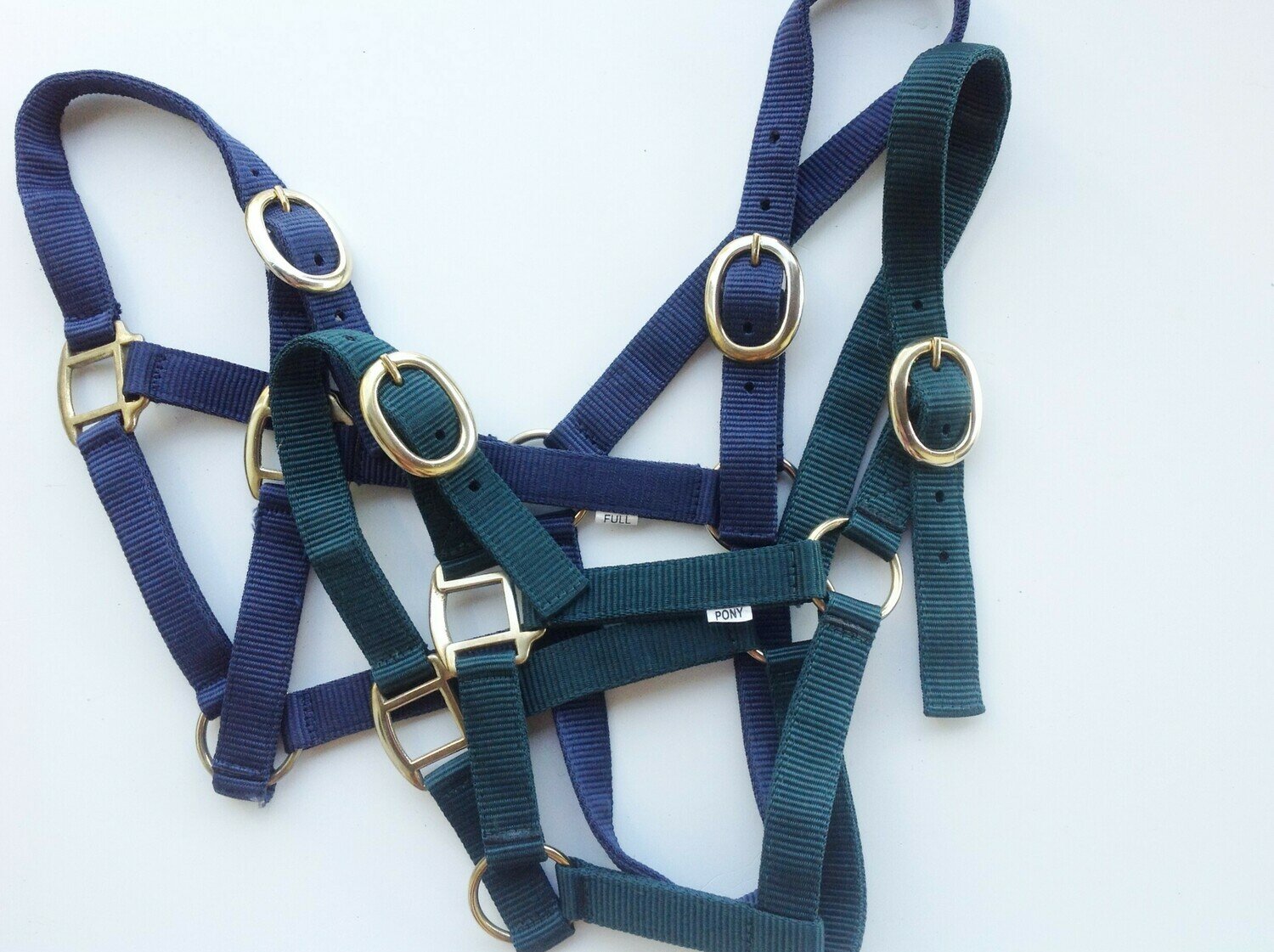 Nylon Nose Buckle Halter Pony w/ Brass