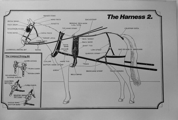 Harnessing and Carriage Driving Poster Complete Set