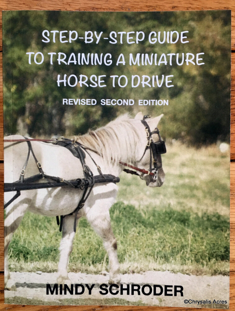 Step by Step Guide to Training a Miniature Horse to Drive
