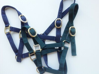 Nylon Nose Buckle Halter Pony w/ Brass