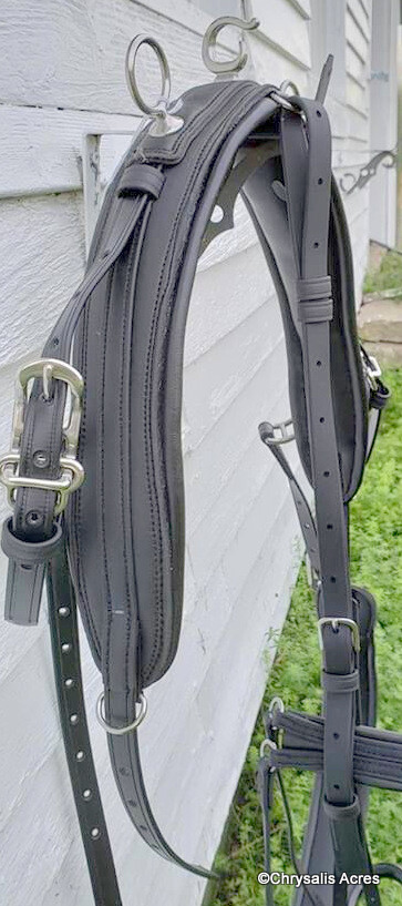 Padded Biothane Saddle – Chrysalis Acres – Equipment for the Carriage  Driving Horse and Driver