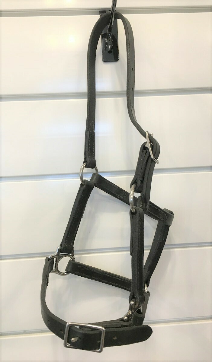 Leather Nose Buckle Halter- Pony Size