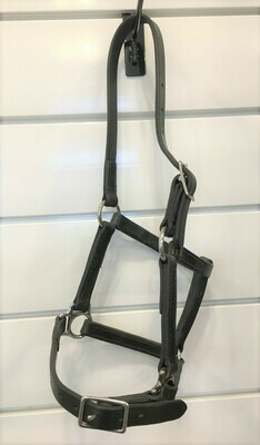 Leather Nose Buckle Halter- Pony Size Leather Nose Buckle Halter- Pony Size