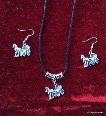 Necklace &amp; Earrings Set