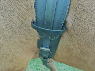 Zilco Elastic Girth