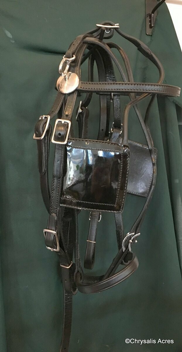 Leather Driving Bridle - Square Blinkers
