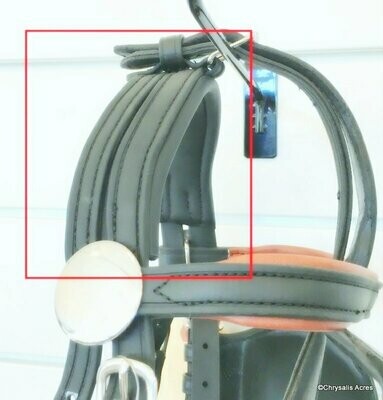 Padded Shaped Bio Bridle Crown