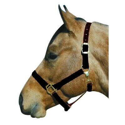Nylon Halter