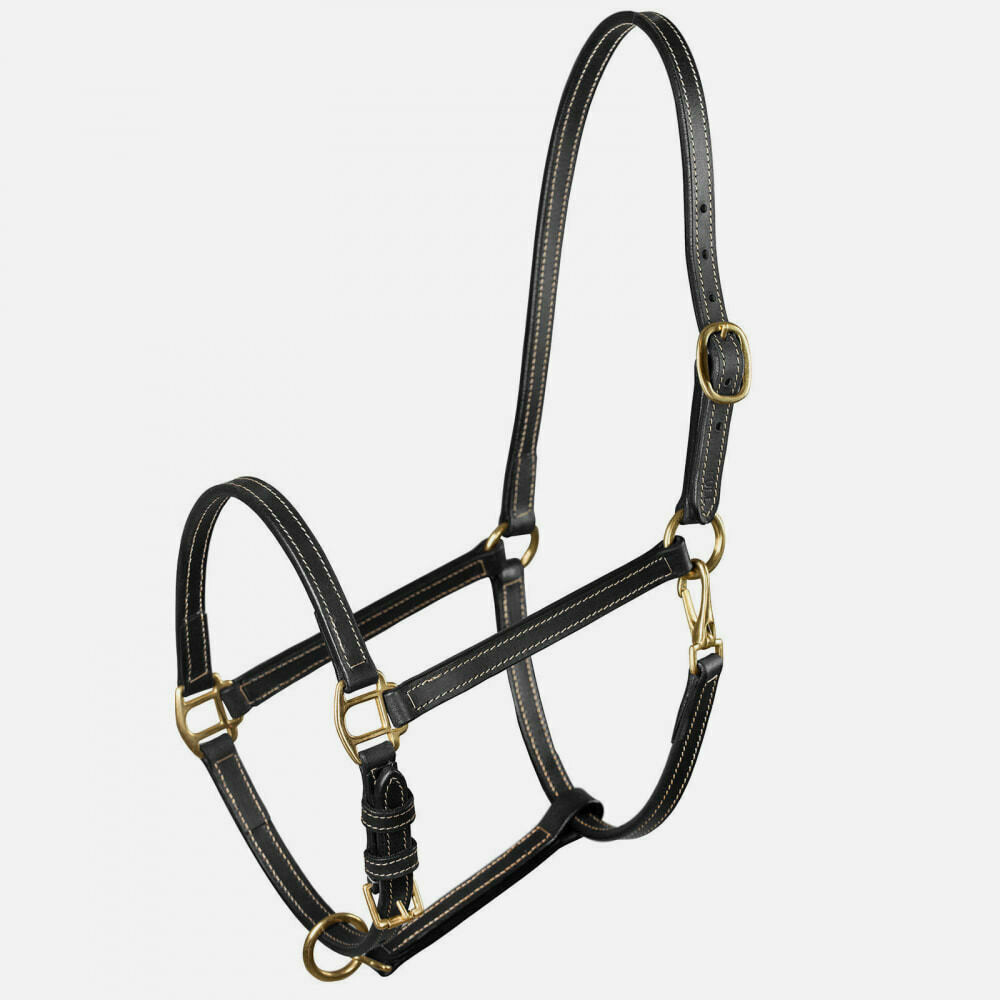 Leather Stable Halter - Pony Size